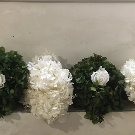 Il Pozzo Di Santa Zita Lucca