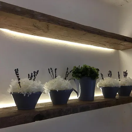 Il Pozzo Di Santa Zita Lucca